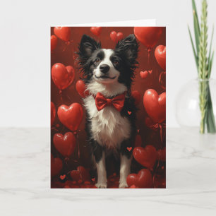 Carte Élégant Border Collie Saint-Valentin Cœurs
