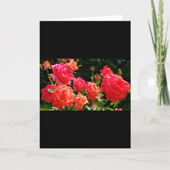 Carte Elégant corail rouge orange rose jardin rose (Devant)