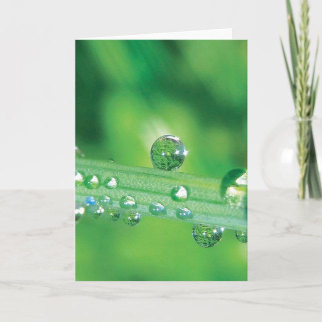 Carte Elégant Dew Drop Note Card Avec Poem (Devant)
