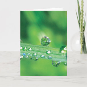 Carte Elégant Dew Drop Note Card Avec Poem