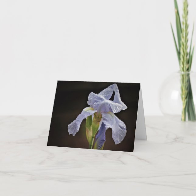 Carte Elegant Iris Note Card (Devant)