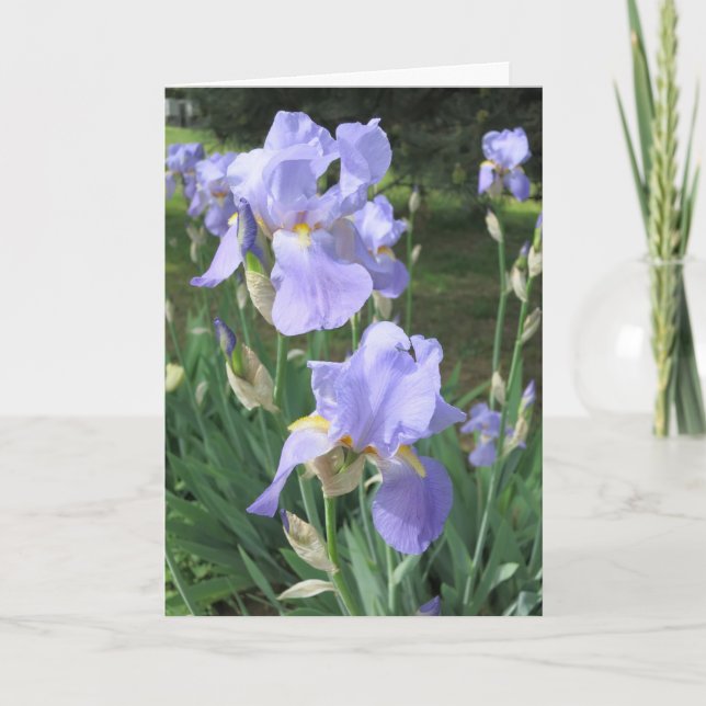 Carte Élégant Moderne Purple Iris Fleurs Photo Se Bien (Devant)
