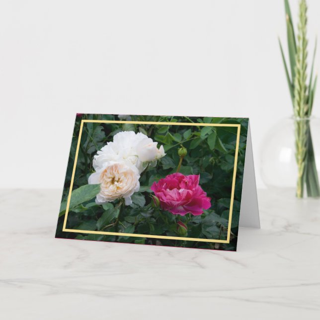 Carte Elégante Crème Moderne Roses Roses Roses Rose Phot (Devant)