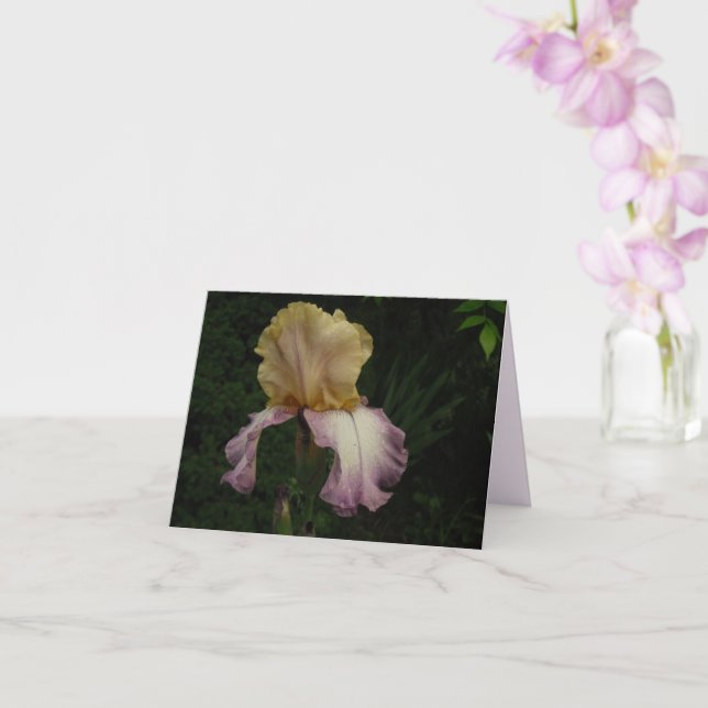Carte Elégante Crème violet Iris Floral Photo (Orchidée)