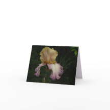 Elégante Crème violet Iris Floral Photo
