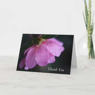 Carte Élégante rose rose gros plan avec Dew Happy Merci