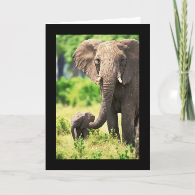 Carte Eléphant et bébé (Devant)