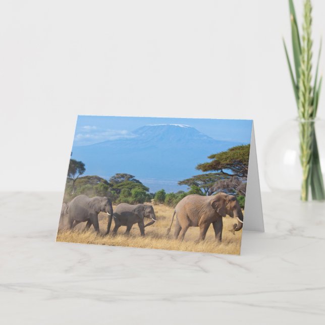 Carte éléphants du Kilimandjaro (Devant)
