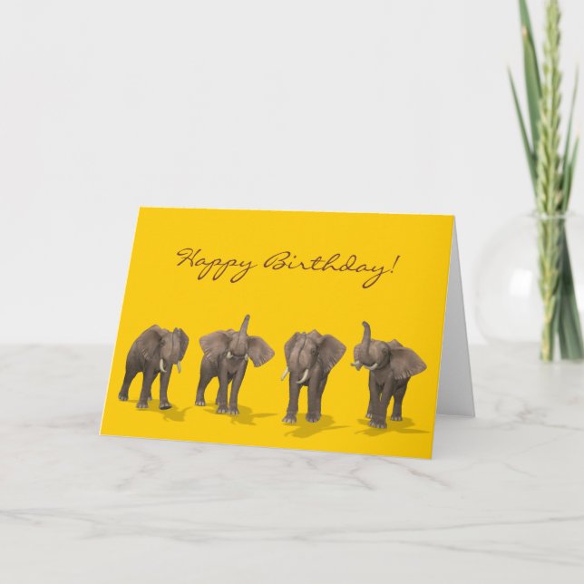 Carte Elephants Quartet Joyeux anniversaire (Devant)