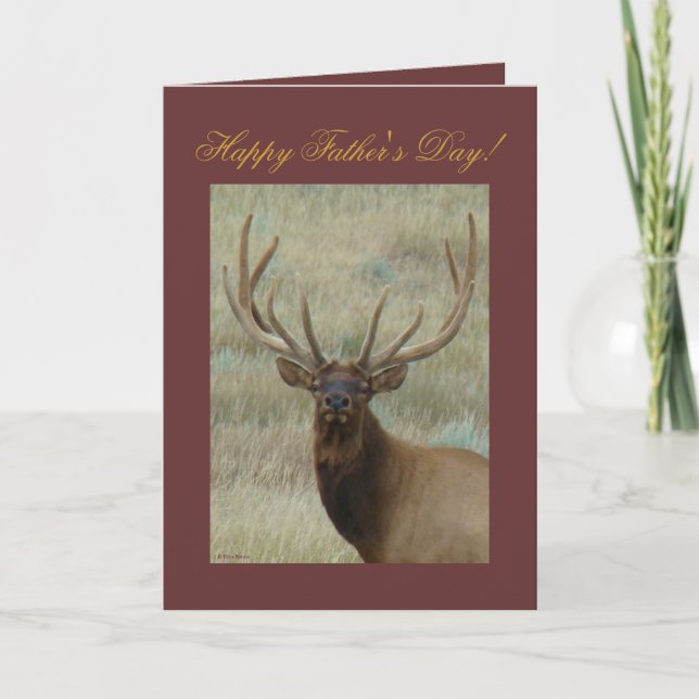Carte Elk de taureau E10 en Tête de velours (Devant)