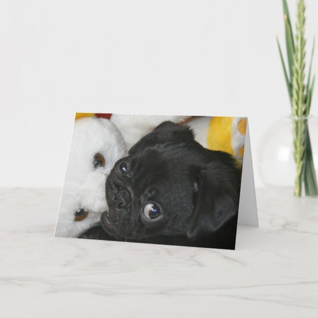 Carte Elsa et nounours (Devant)