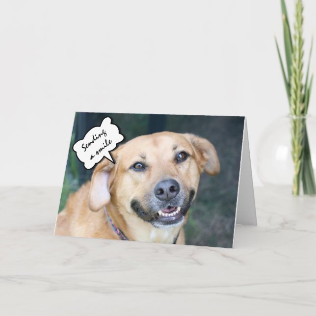 Carte Embrous d'anniversaire, baisers et sourires mignon (Devant)