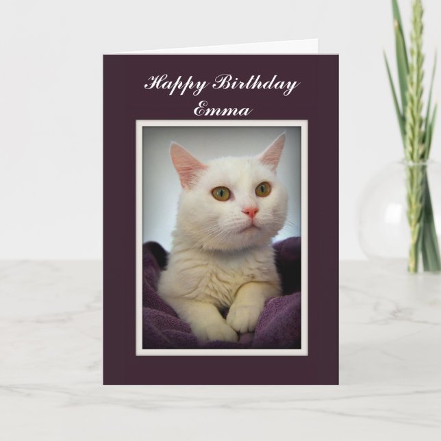 Carte Emma de chat blanc pour anniversaire (Devant)