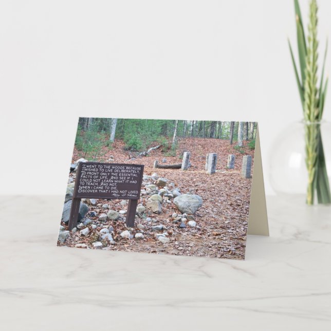 Carte *Emplacement de la fondation cabine de Thoreau.Car (Devant)