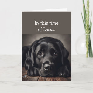 Carte En ce temps de perte, l'Écriture console un chien