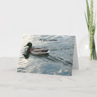 En cours de récupération