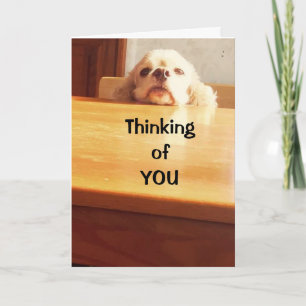 CARTE EN ESPÉRANT QUE VOUS VOUS SENTEZ "MIEUX" BIENTÔT !