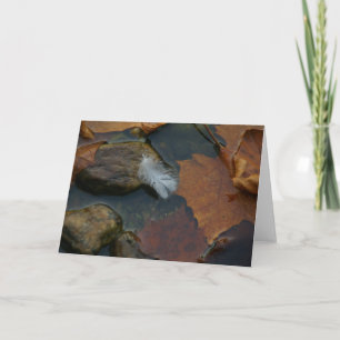 Carte en plumes blanches