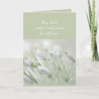 En Sympathie profonde Aide en difficulté Snowdrops