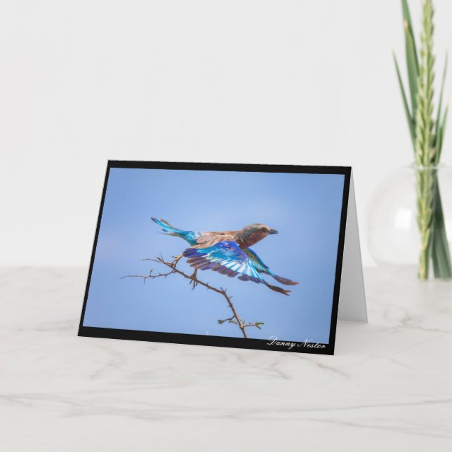 Carte En vol (Devant)