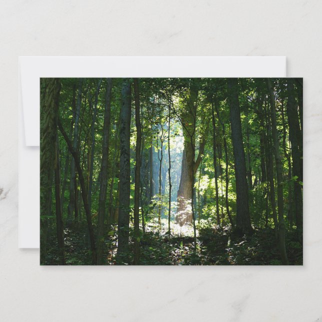 Carte Enchanté, Mystérieux, Beau (Devant)