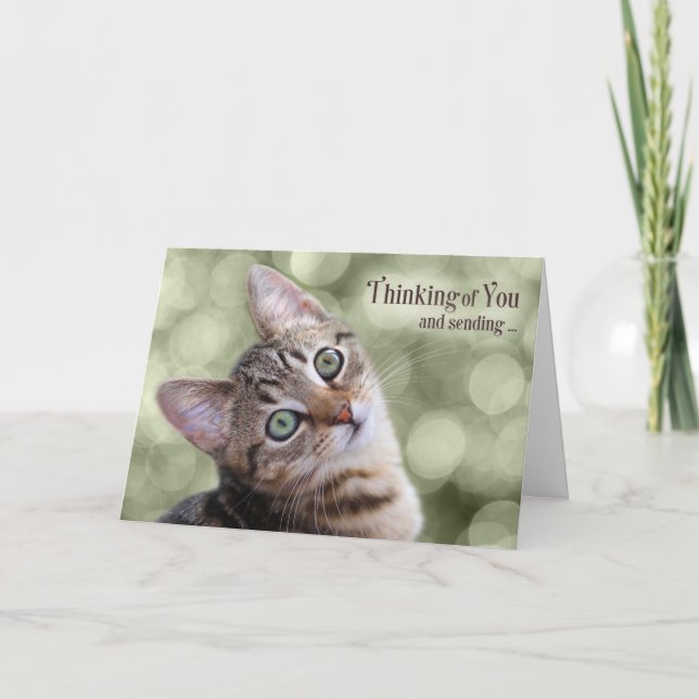 Carte Encouragement à penser à vous Tabby Kitten (Devant)