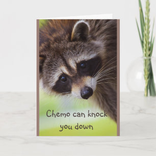 Carte Encouragement Chemo peut vous assommer Raccoon