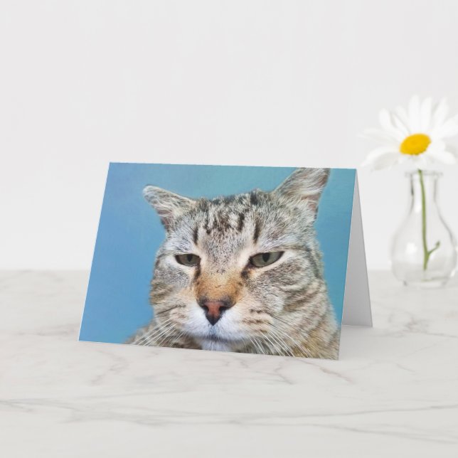 Carte Encouragement du cancer du chat agacé (Petite plante)
