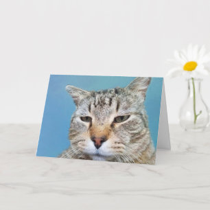 Carte Encouragement du cancer du chat agacé