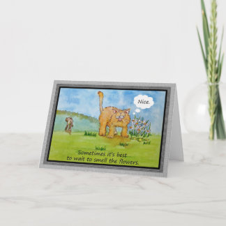 Carte Encouragement Funny Humour Chat Chien Vous Pouvez