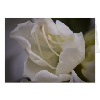 Carte énergie Divine