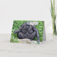 Enfant Chimpanzé Obtenir un Humour plus âgé