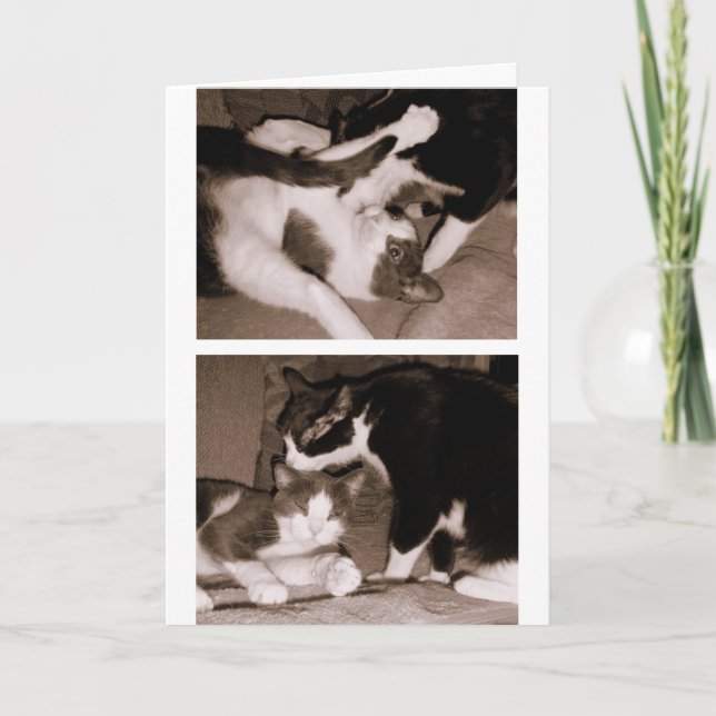 Carte Enfants de mêmes parents - frères et soeurs (Devant)