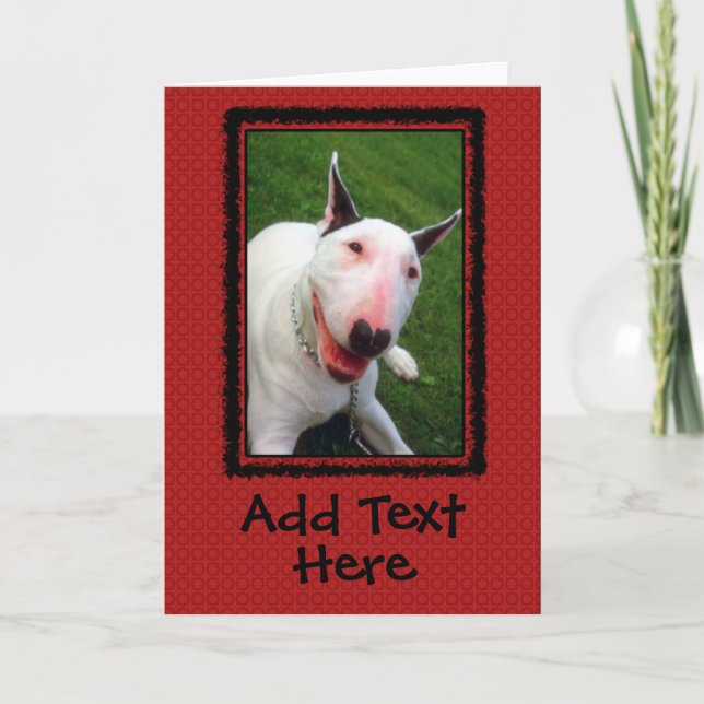 Carte English Bull Terrier Custom Greeting Card (Devant)