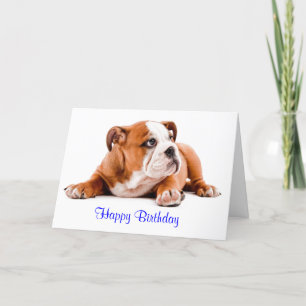 Carte English Bulldog Happy Birthday Card - Verset à l'i