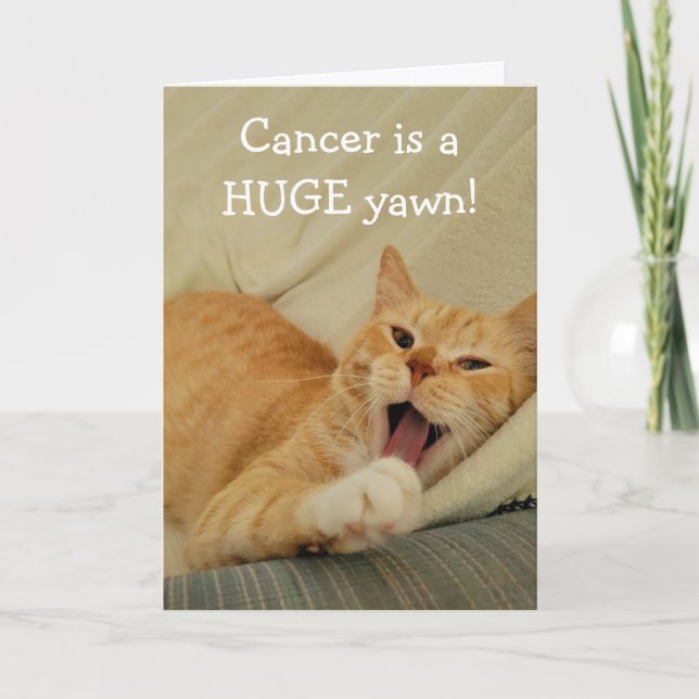 Carte Ennuyé De Cancer Drôle Chat (Devant)