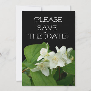 Carte "Enregistrer la date" du mariage