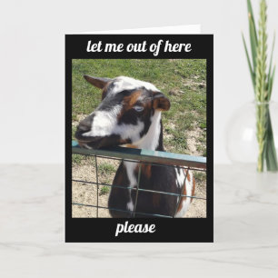 CARTE ENTENDRE QUE VOUS ÊTES "SOUS LE TEMPS" OBTENEZ LA 