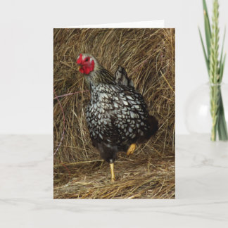 Carte "Équilibrer" - Poulet baryton sur un pied dans le