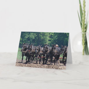 Carte Équipe de six chevaux