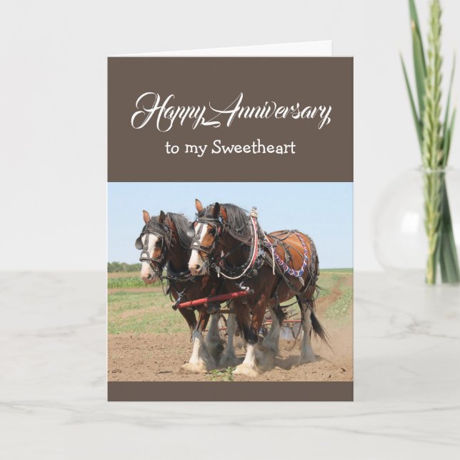Carte Équipe de Sweethee Birthday HORSE (Devant)