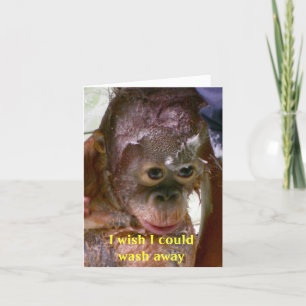 Carte Erreurs Je suis désolé