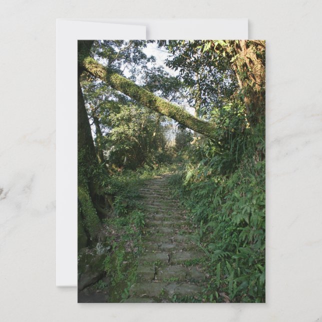 Carte Escalier aux arbres (Devant)