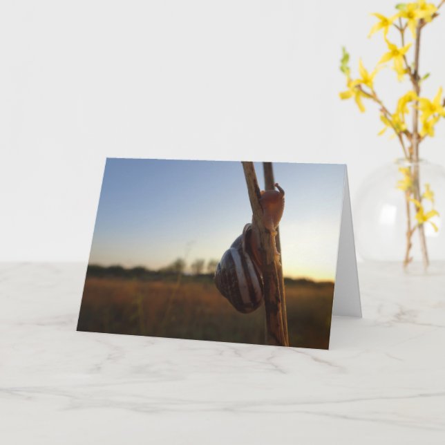 Carte Escargot sur une tige (Fleur jaune)