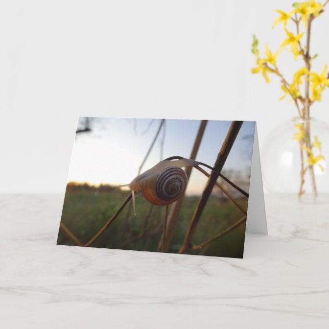 Carte Escargot sur une tige (Fleur jaune)