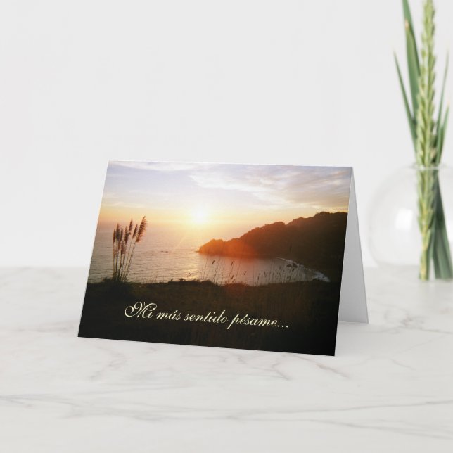 Carte Espagnol : mi mas sentido pesame /Sympathy (Devant)
