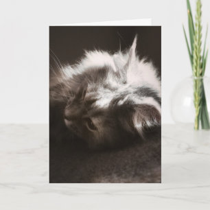 Carte Espérer que les choses regardent vers le haut / Pe