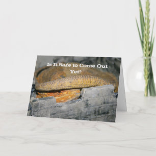 Carte Est-ce encore sûr ? Dragon à tête