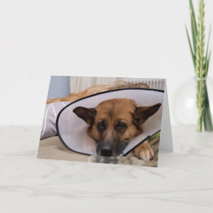 Carte Est-ce que "je dois porter ceci ? "