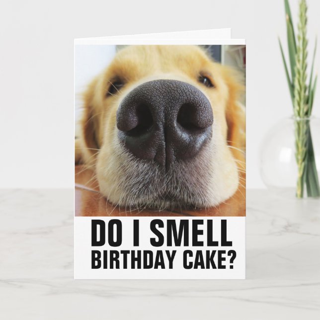 CARTE EST-CE QUE JE SENS DU GÂTEAU D'ANNIVERSAIRE ? CART (Devant)